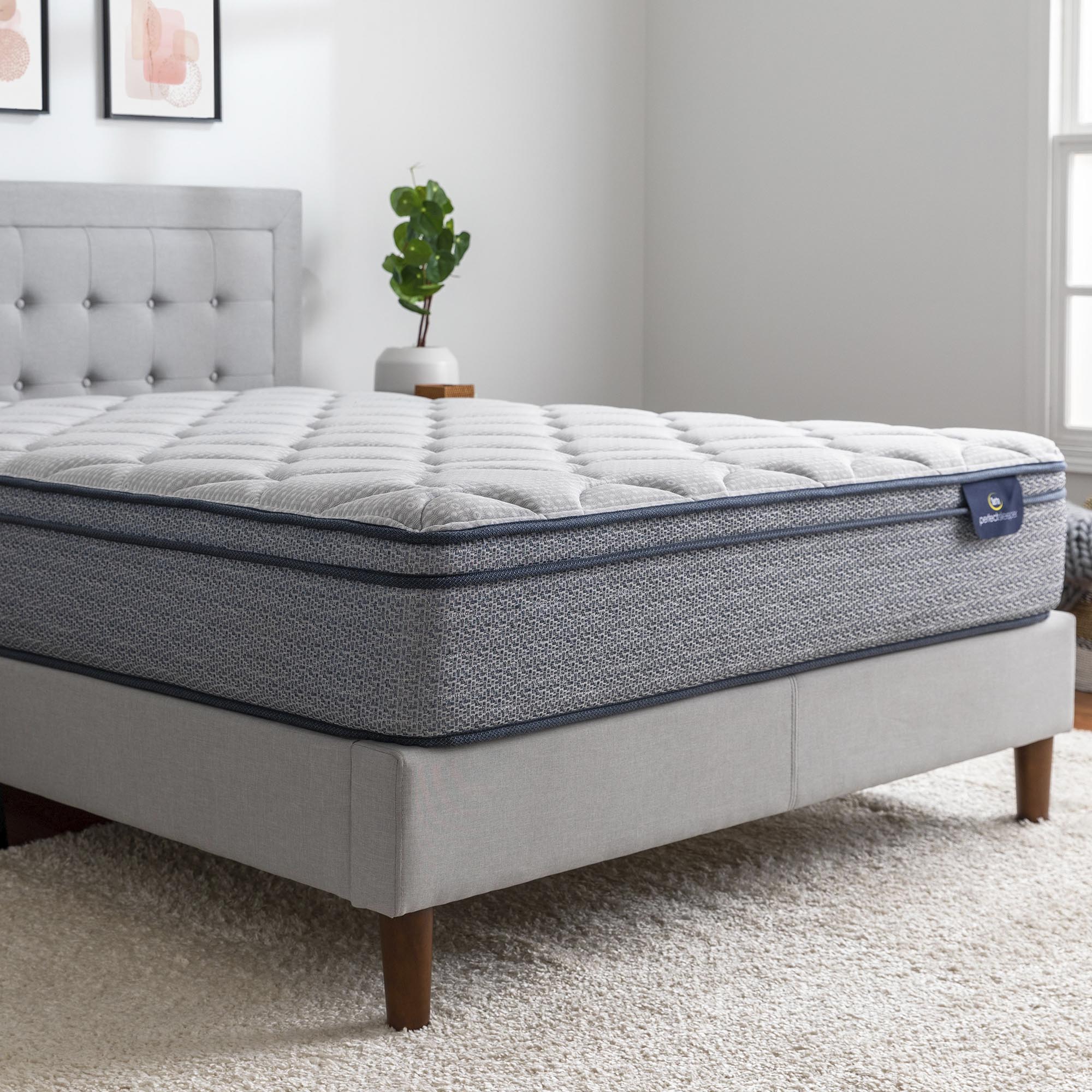 The Serta Perfect Sleeper Charlotte 10.5 inch Plush Euro Top mattress in a bedroom with a plant next to the bed