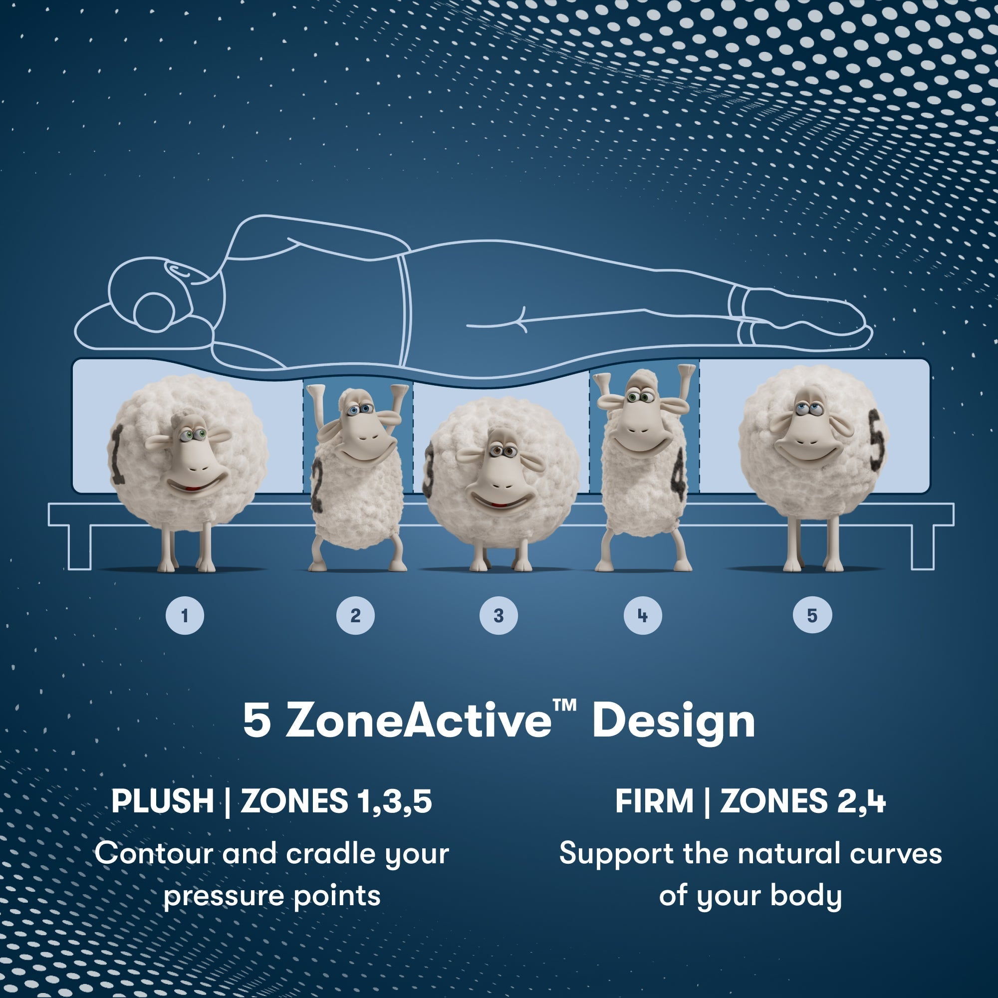 Perfect Sleeper Pro Kensington Medium Mattress Component 5 Zone chart || Level: Level 1 || Feel: Medium
