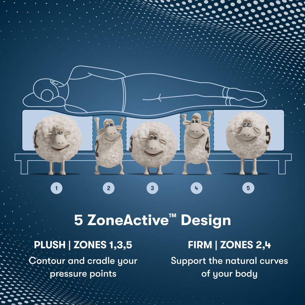 Perfect Sleeper Pro Kensington Medium Mattress Component 5 Zone chart || Level: Level 1 || Feel: Medium
