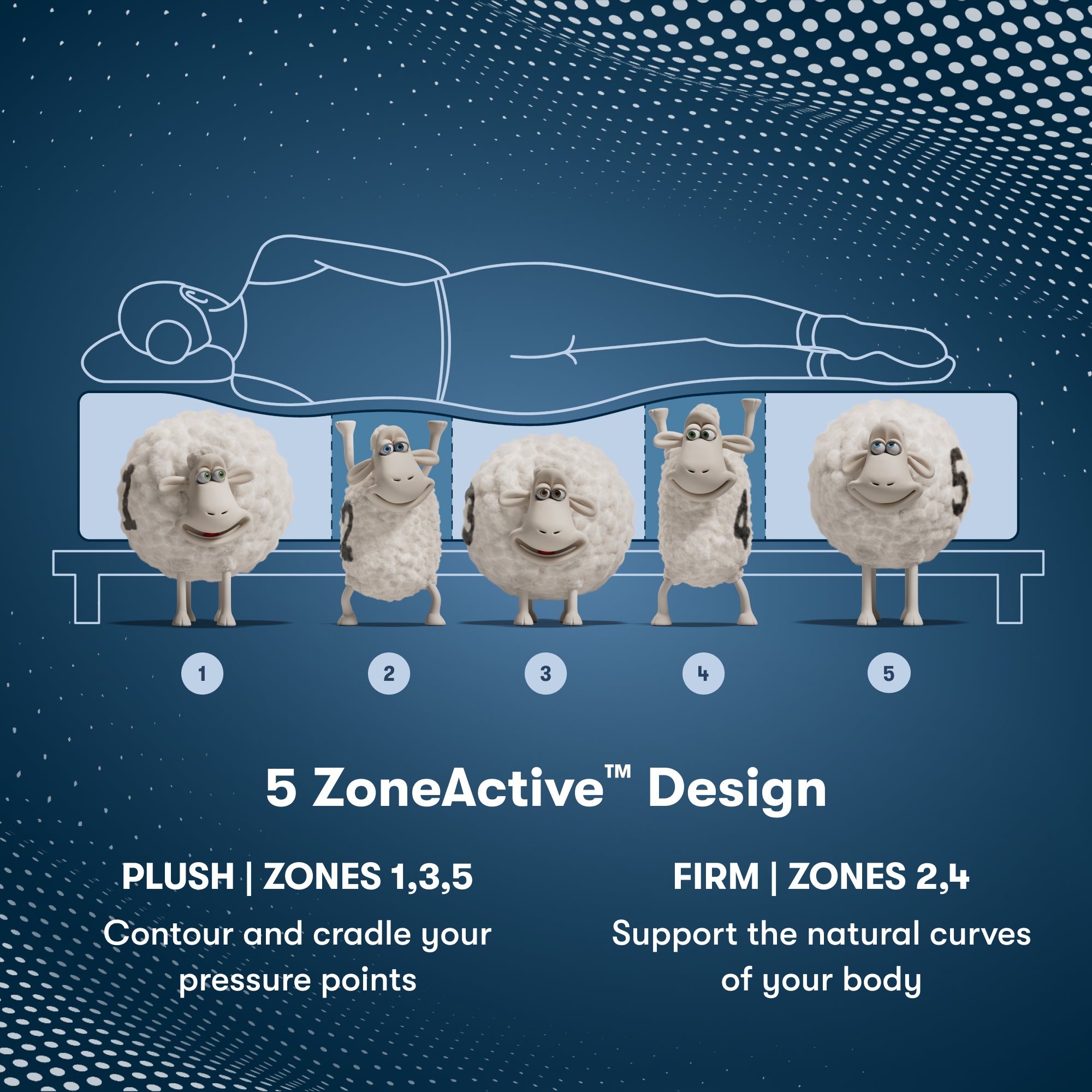 Perfect Sleeper Pro Kensington Medium Mattress Component 5 Zone chart || Level: Level 1 || Feel: Medium

