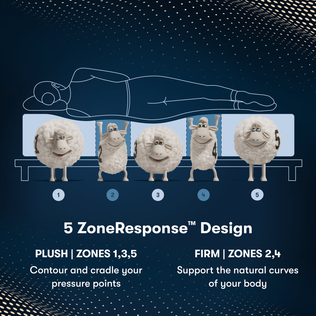 iComfortPro Ambrose Plush Mattress Component 5 Zone chart || feel: plush || level: Level 2