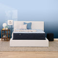 Perfect Sleeper Nurture Night 13.5" Medium Mattress